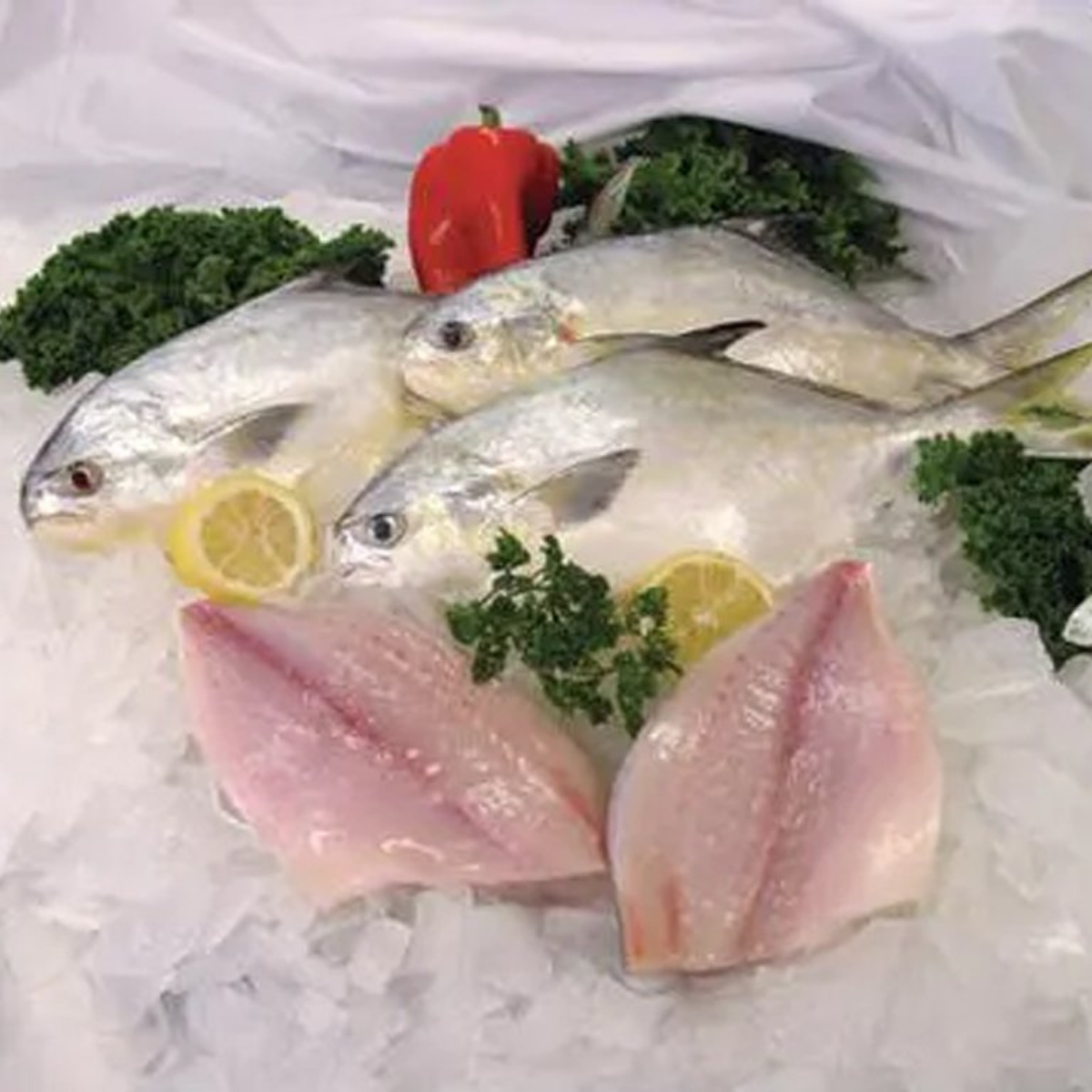 golden pompano fillet