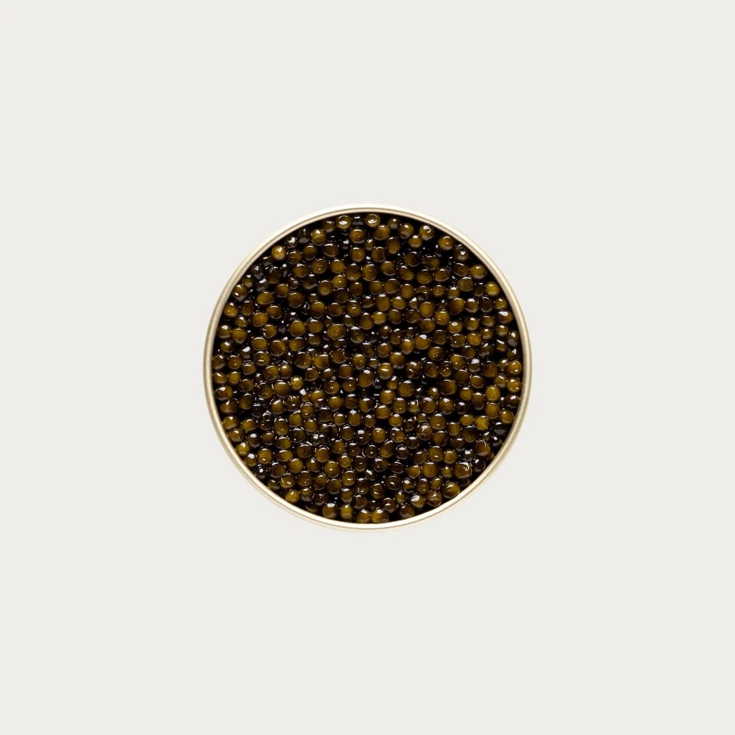 Kaluga Fusion Black Caviar