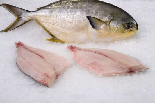 golden pompano fillet
