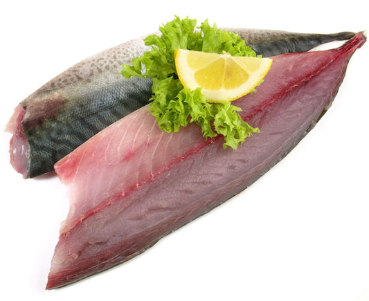Spanish mackerel fillet