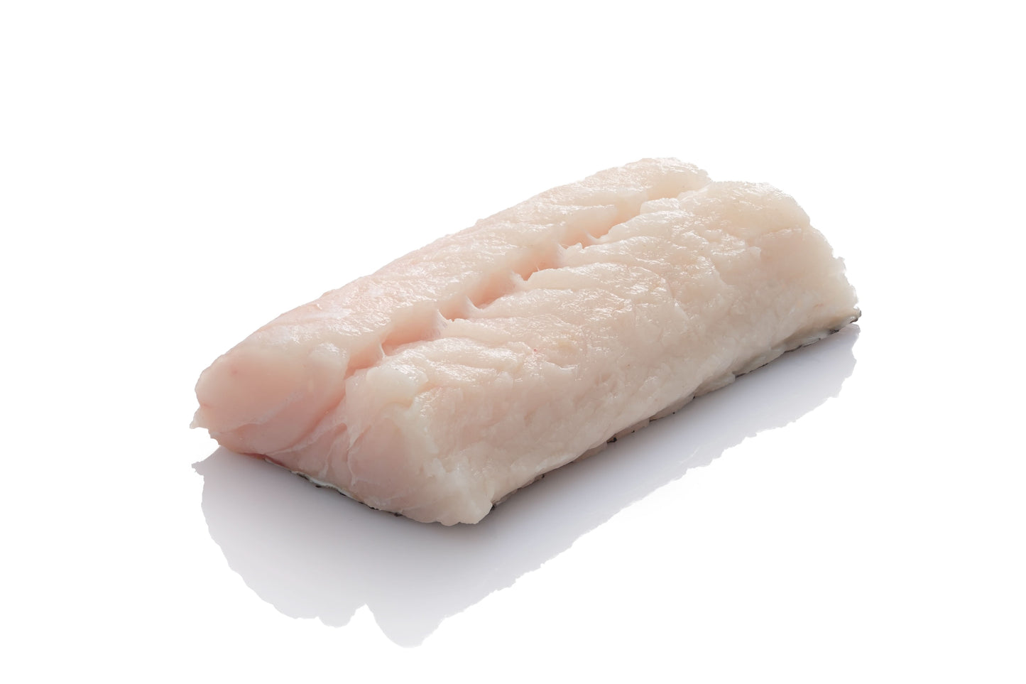 Fresh New England Silver Hake Fillet