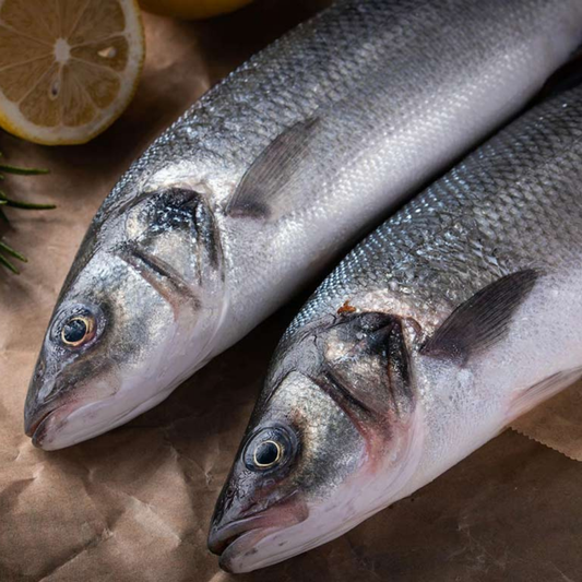 Branzino Fish - Fresh, Whole, Mediterranean, (1 - 1.25 lbs Each)
