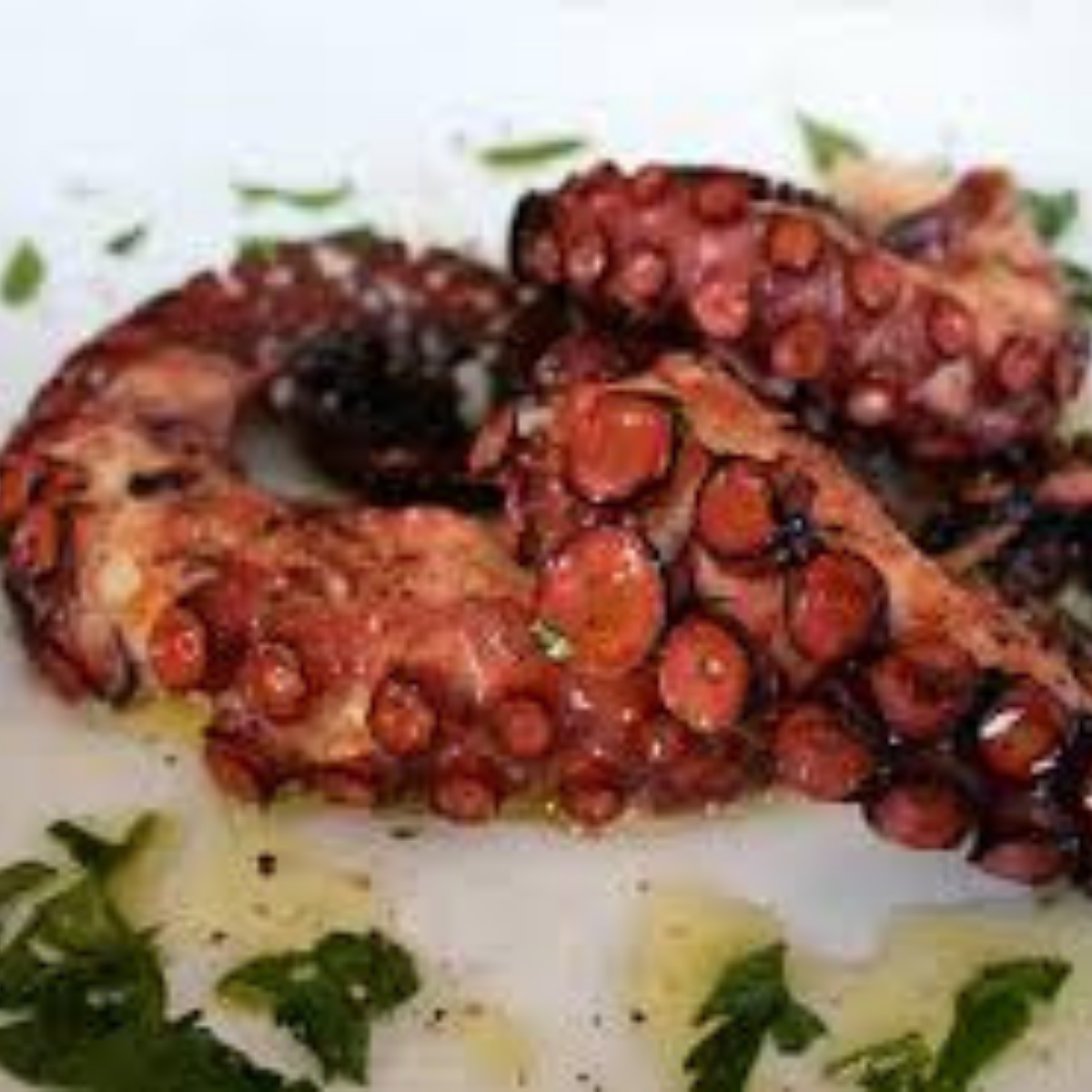 Octopus 4-5LB, Whole, Frozen