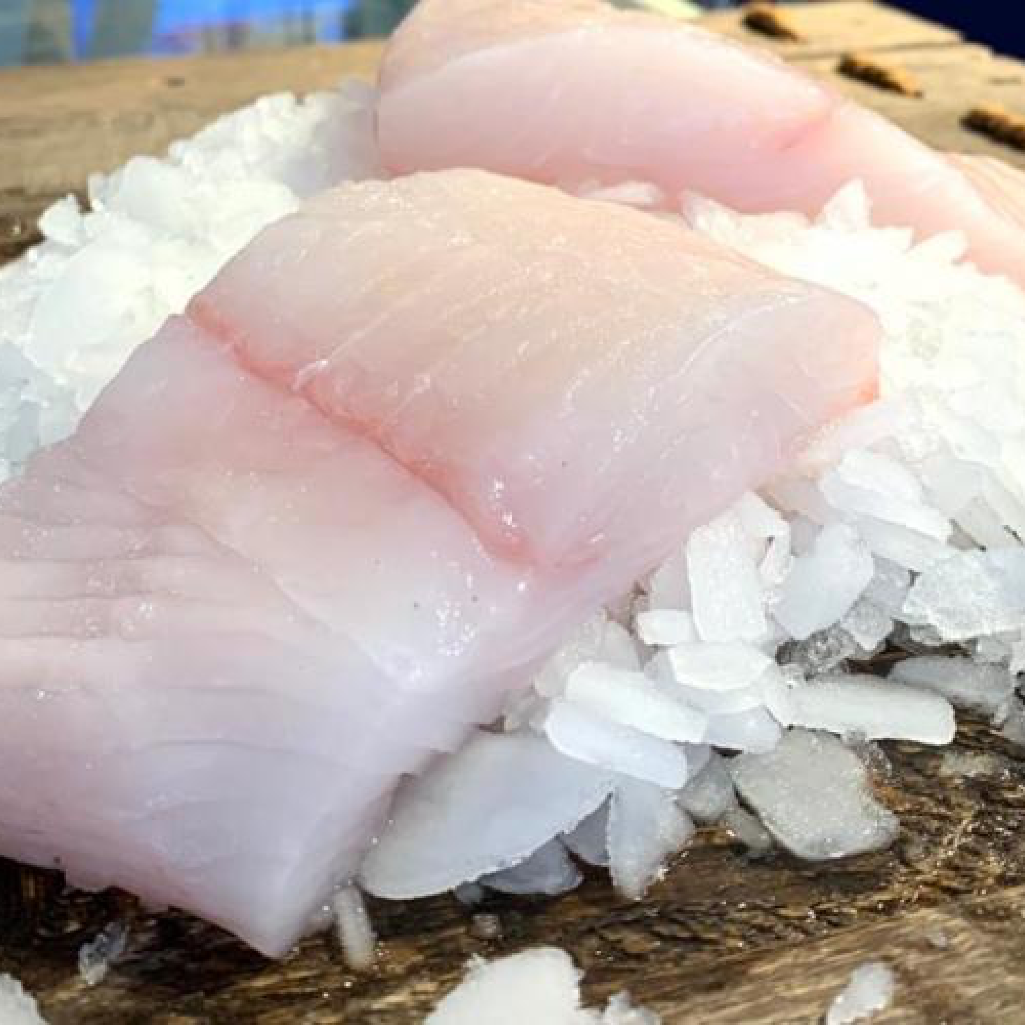 Fresh Wild Caught Halibut Fillet Wild Caught Halibut Near Me 6806