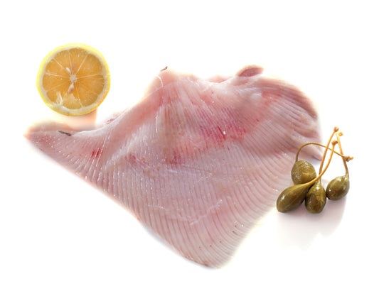 Skate Fillet, Wild Caught