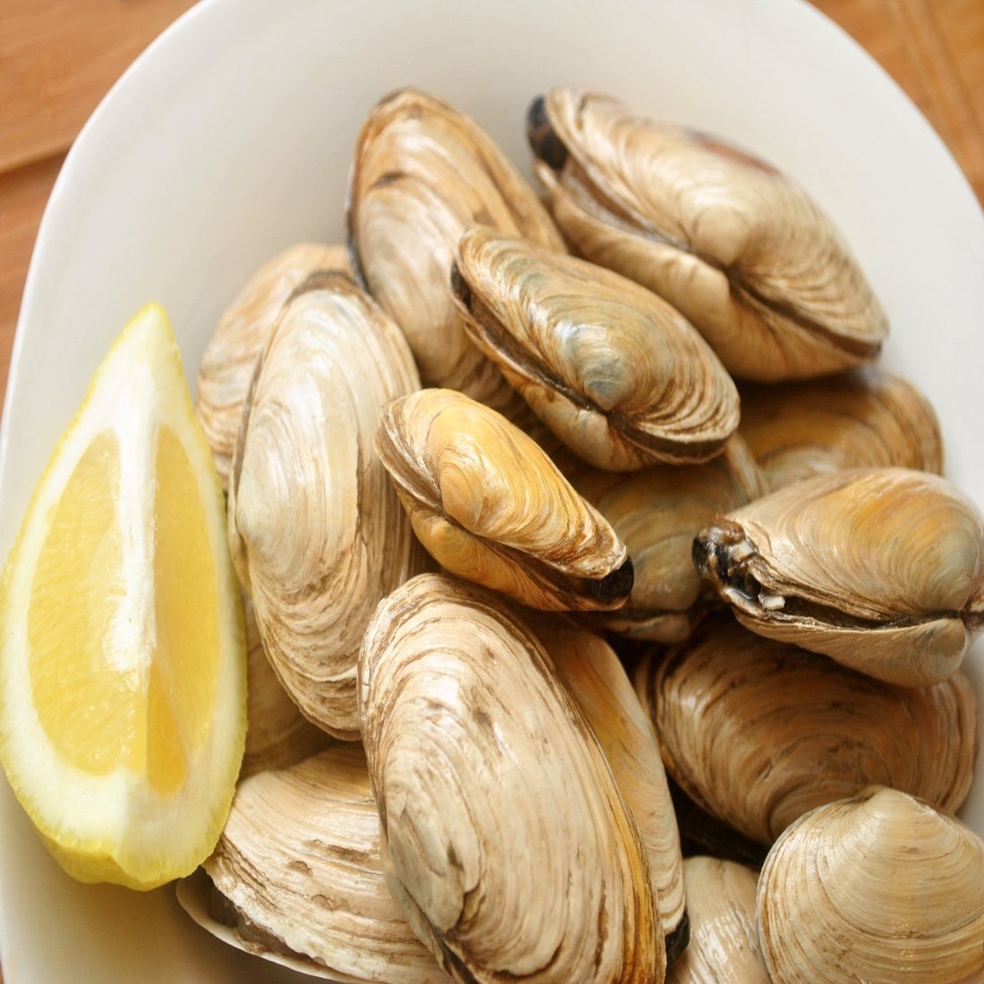 GUIDE TO HANDLING MAINE STEAMER CLAMS