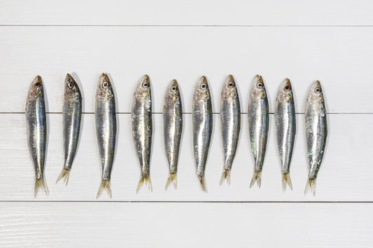 Explore the 3 Best Recipes for Portuguese Sardines