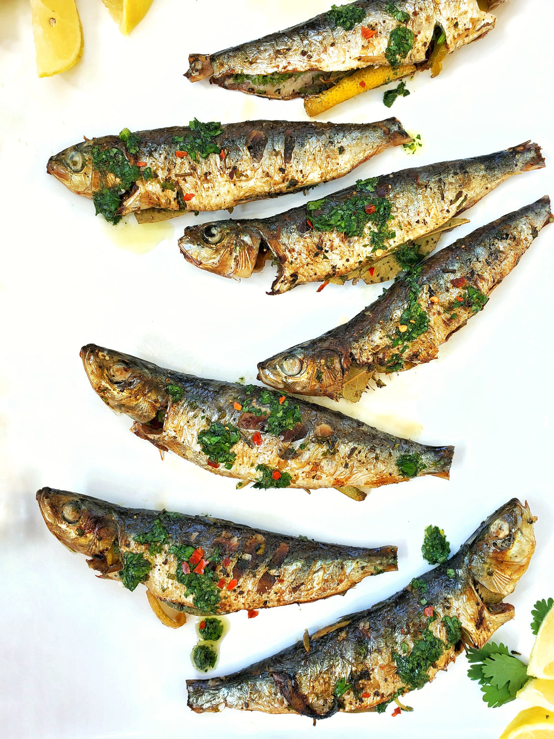 Tasty Grilled (Broiled) Portuguese Sardines