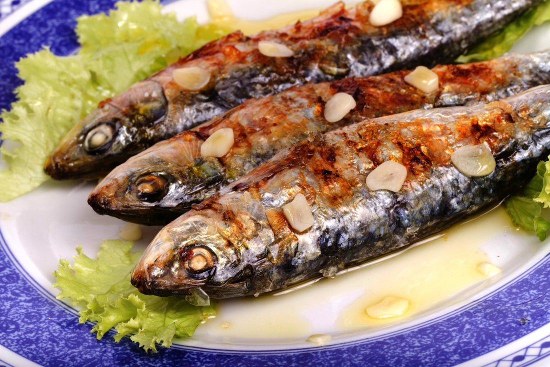 Grilled Sardines