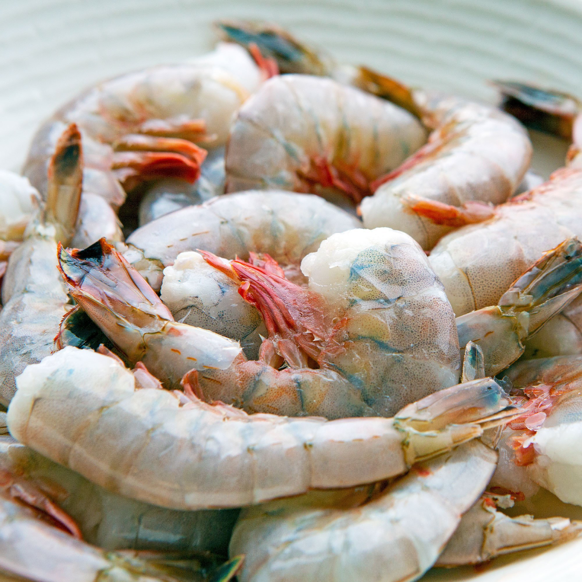 Wild Domestic Shrimp