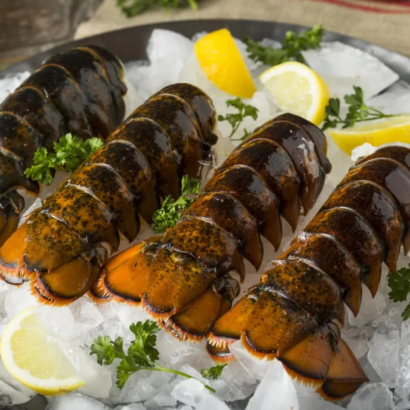 5 oz maine lobster tail