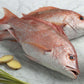Red Snapper Fish, Whole, Wild, Florida