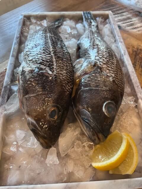 Black Sea Bass - Whole, Wild Caught,  1 1/2-2 lb Ea