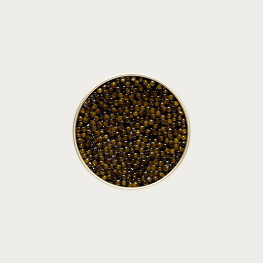 Kaluga Fusion Black Caviar