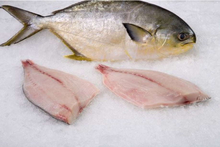 Golden Pompano, Fillet