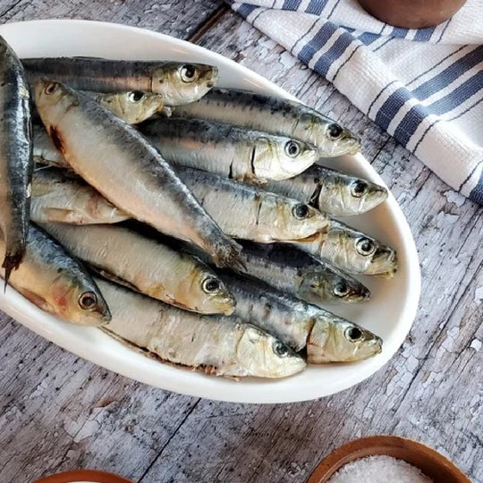 HEALTHY FISH TRIFECTA - MACKEREL - SARDINES -SMELTS