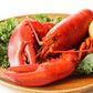 Cooked Maine Lobster (1¼ lb Pre-Cooked), 10 Pack