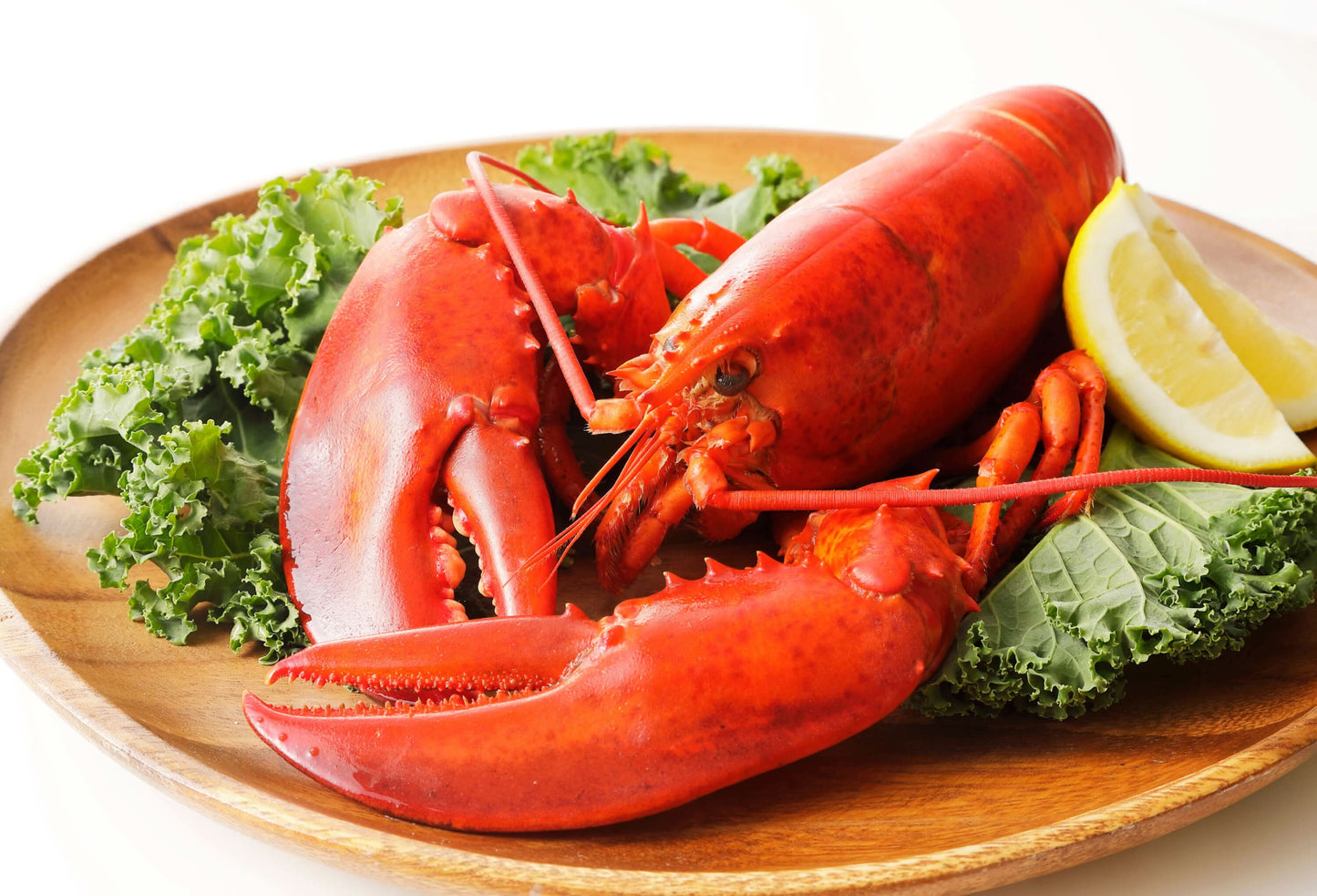 Cooked Maine Lobster (1¼ lb Pre-Cooked) 1 each