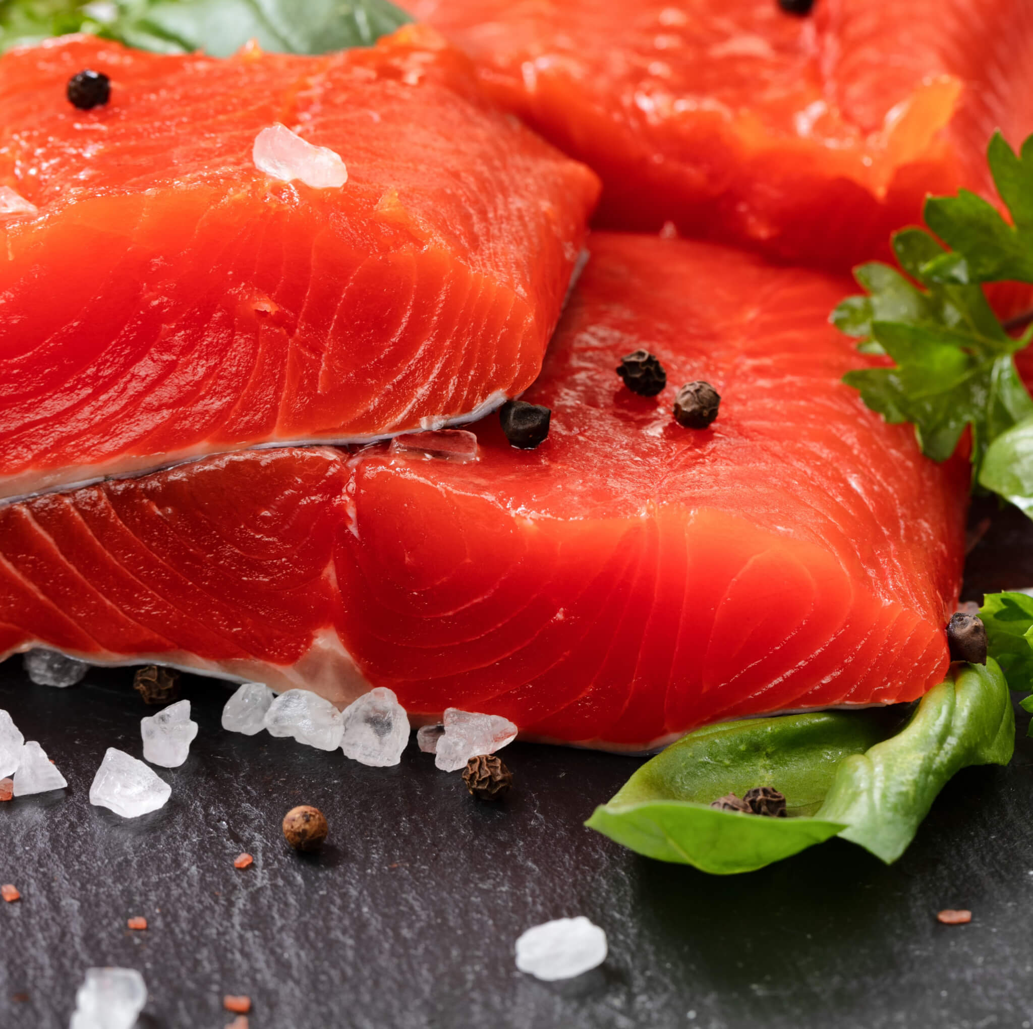 KING SALMON FILLET, TROLL CAUGHT, WILD l All Fresh Seafood