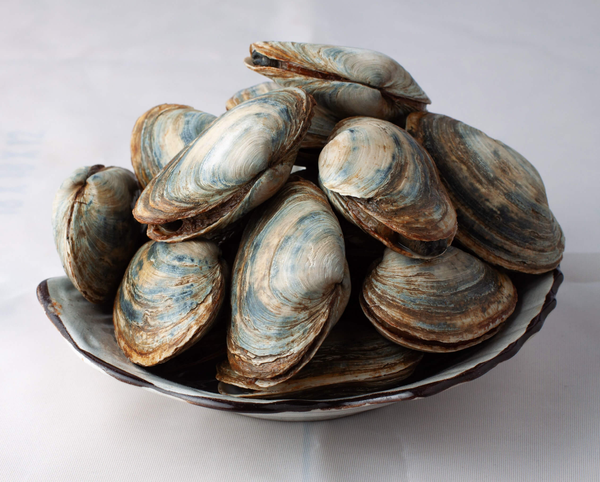 Fresh Shellfish Online | Get Shellfish Delivered to Your Door