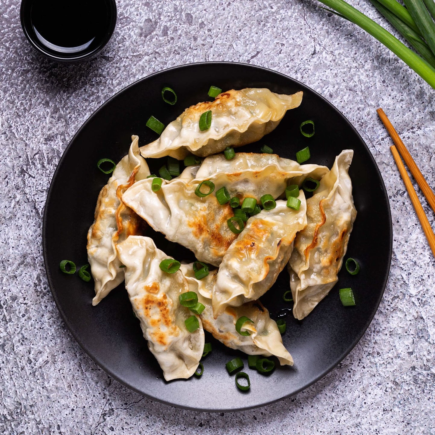 Mopo Tofu Veggie Gyoza Dumplings