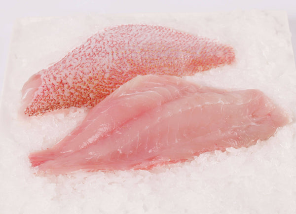 Fresh Red Snapper Fillet