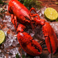 Cooked Maine Lobster (1¼ lb Pre-Cooked), 10 Pack