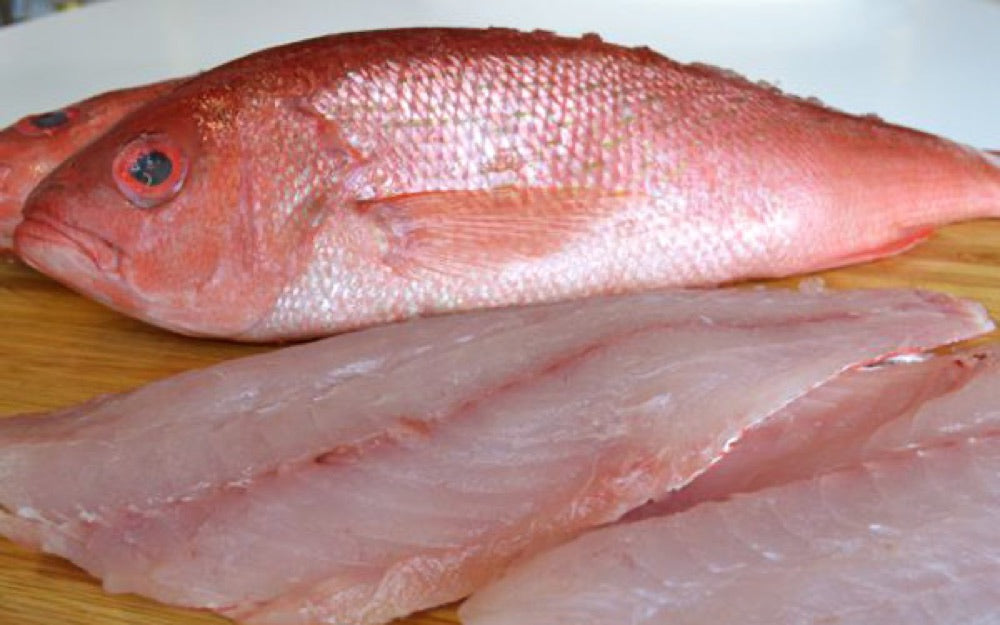 Buy Fresh Red Snapper Fillet 6 oz portions All Fresh Seafood