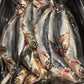 Anchovies, Whole, Peruvian, 1 LB TRAY