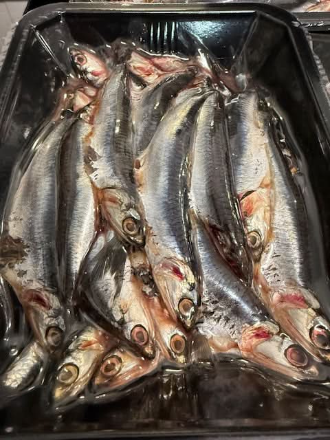 Anchovies, Whole, Peruvian, 1 LB TRAY