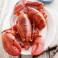 Cooked Maine Lobster (1¼ lb Pre-Cooked), 3 PCS