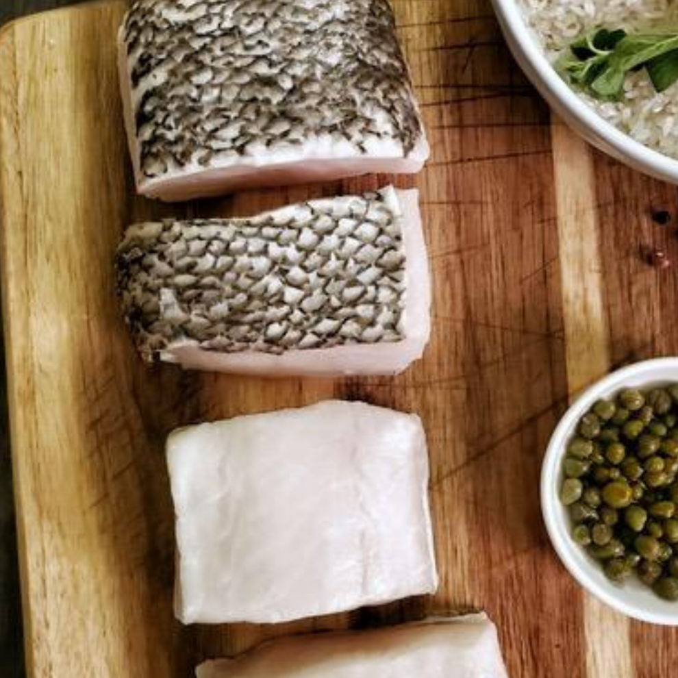 Fresh Chilean Sea Bass Patagonian Toothfish for Sale