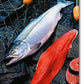 Copper River Fresh/Frozen, Wild-Sockeye Salmon Fillet 6oz