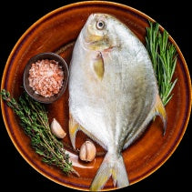 Fresh Fish
