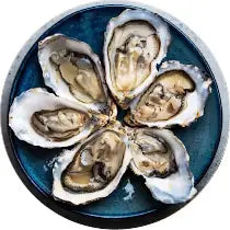 Six oysters on a blue plate with a white background