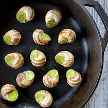 Seafood Appetizers