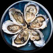 Shellfish