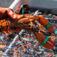 Cooked Maine Lobster (1¼ lb Pre-Cooked), 3 PCS