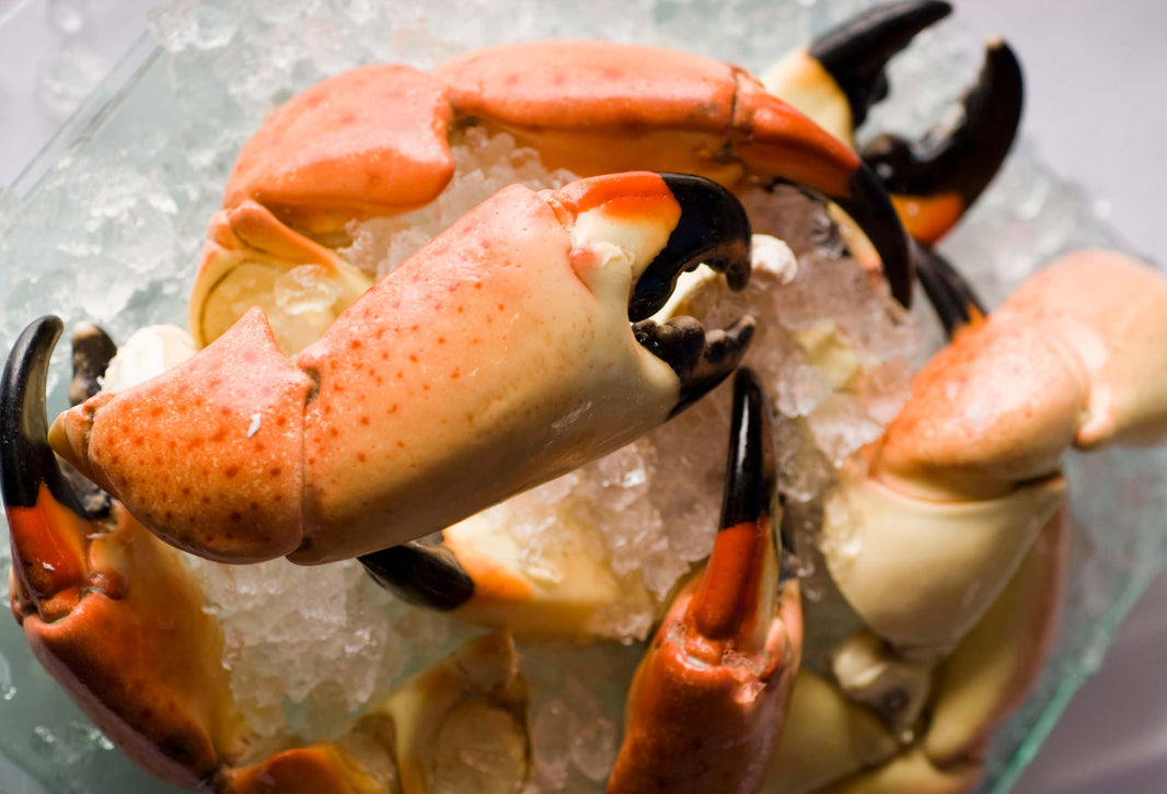 Buy Fresh Crab Online - Cocktail, Meat, Claws, Legs & More