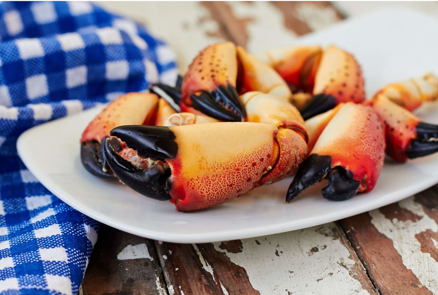 Stone Crab Claws, Large