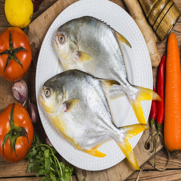 Golden Pompano, Whole 1 - 1/2 lb Fish