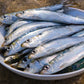 Anchovies, Spain, Wild Caught