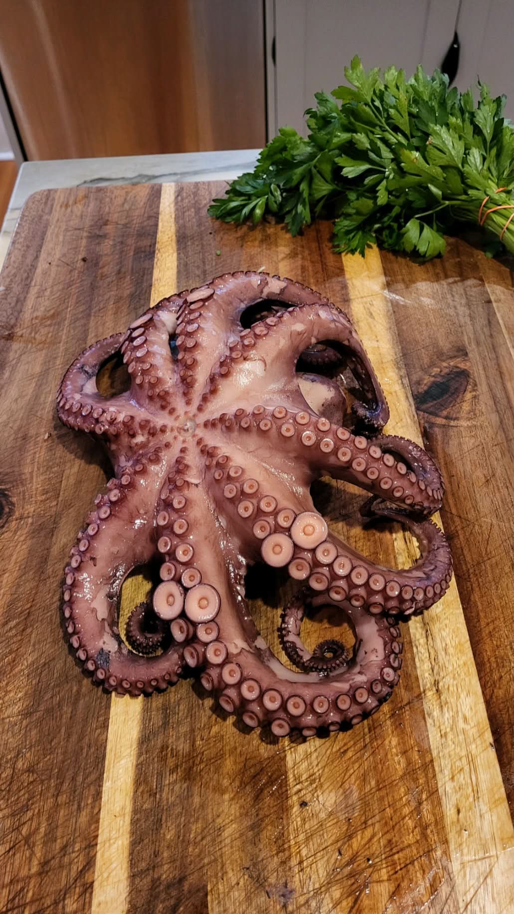 Octopus 4-5LB, Whole, Frozen