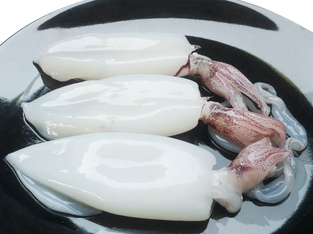 Cleaned Squid Tubes and Tentacles, (aka Calamari), 2.5 lbs