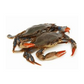 Maryland Soft Shell Crabs, Jumbo, Cleaned, 6pc