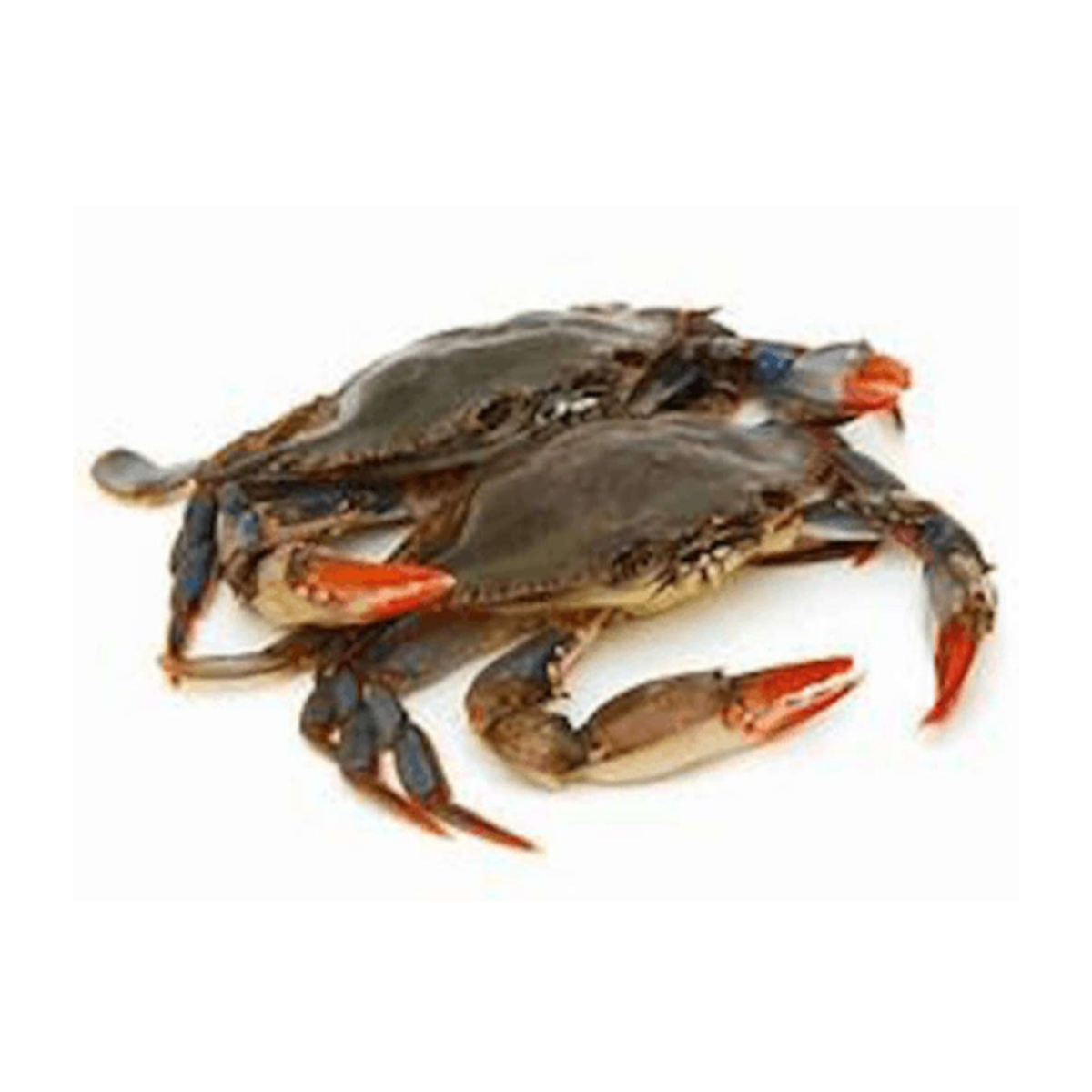 Maryland Soft Shell Crabs l Soft Shell Crab Near Me | 6 pc