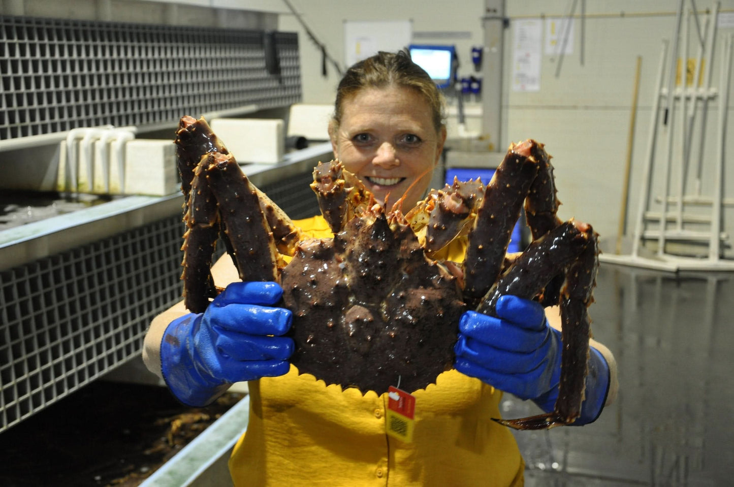 Red King Crab Legs, Large