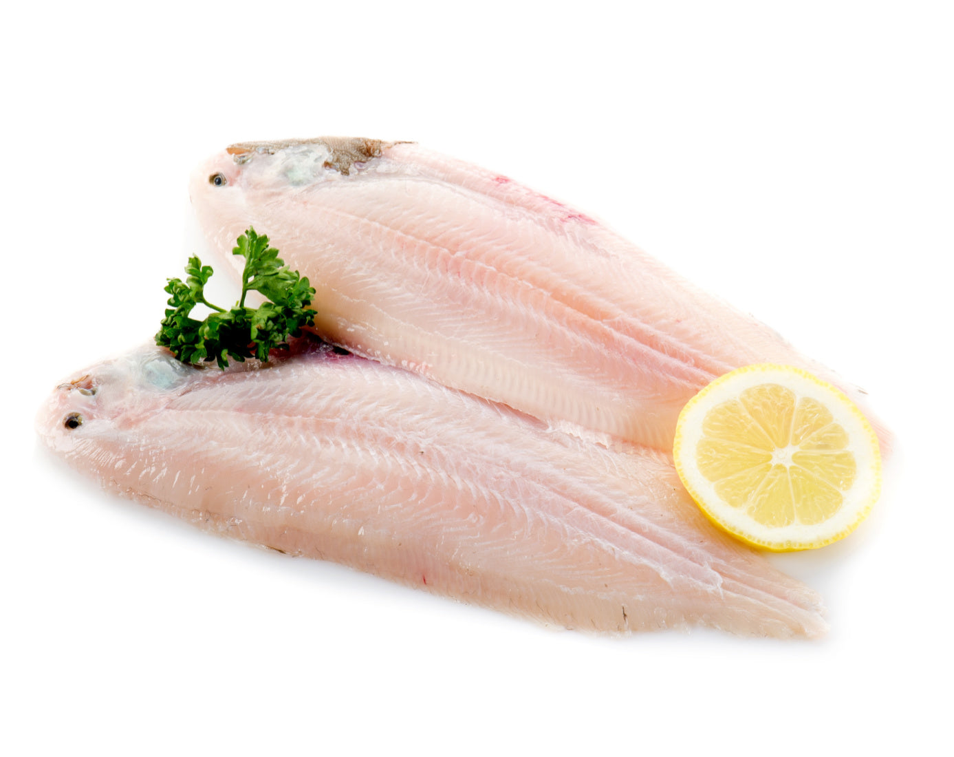 Dover Sole, Fresh, Holland, Wild Caught,  1 Lb Ea