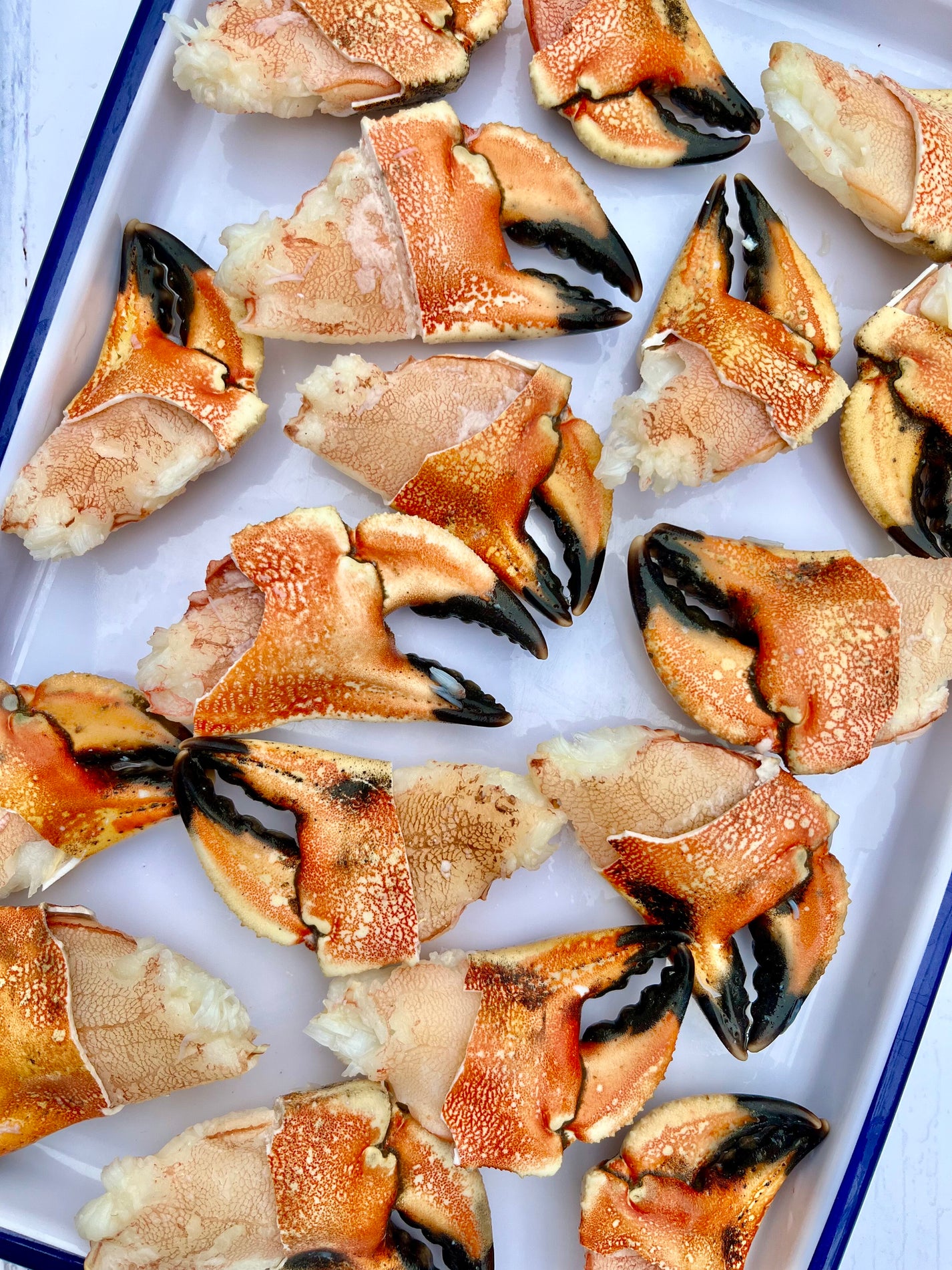 Jonah Cocktail Crab Claws| Jonah Claw Crab
