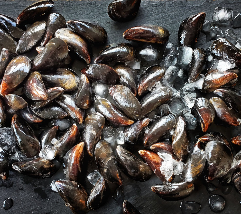 PEI Mussels l Prince Edward Island Mussels l All Fresh Seafood